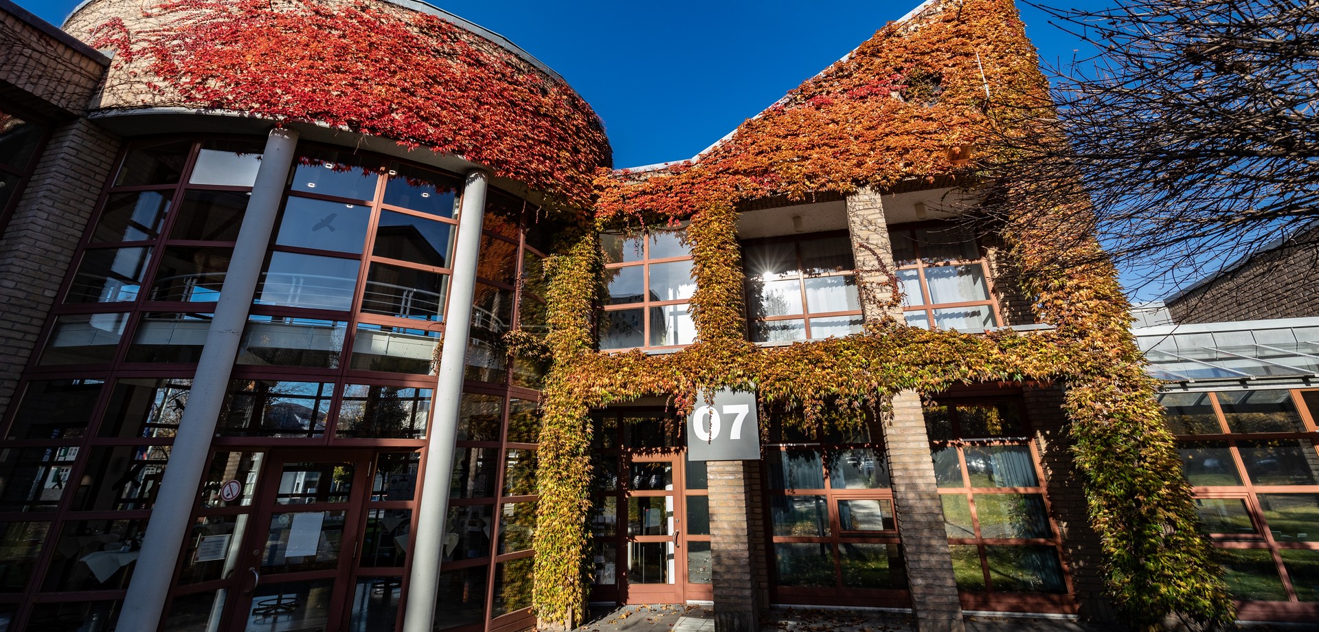 Blick auf den oberen Teil eines Klinikgebäudes, das von herbstlichen roten, gelben und orangenen Weinblättern bewuchert ist