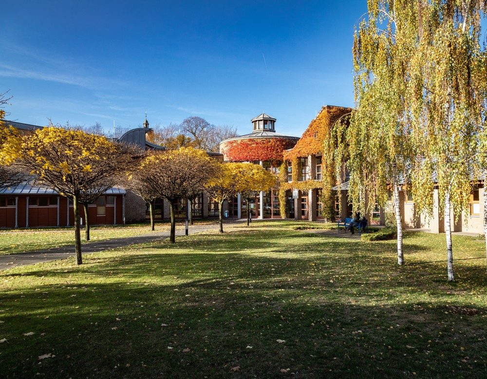 Blick auf ein mit herbstlichen Blättern bewachsenes Klinikgebäude